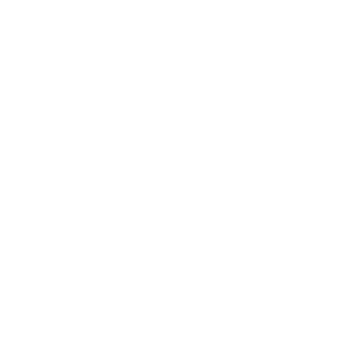 Icon of braces
